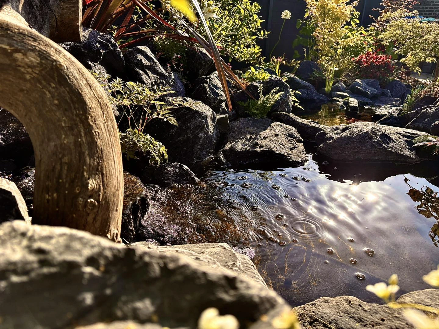 Bassin saint amand les eaux