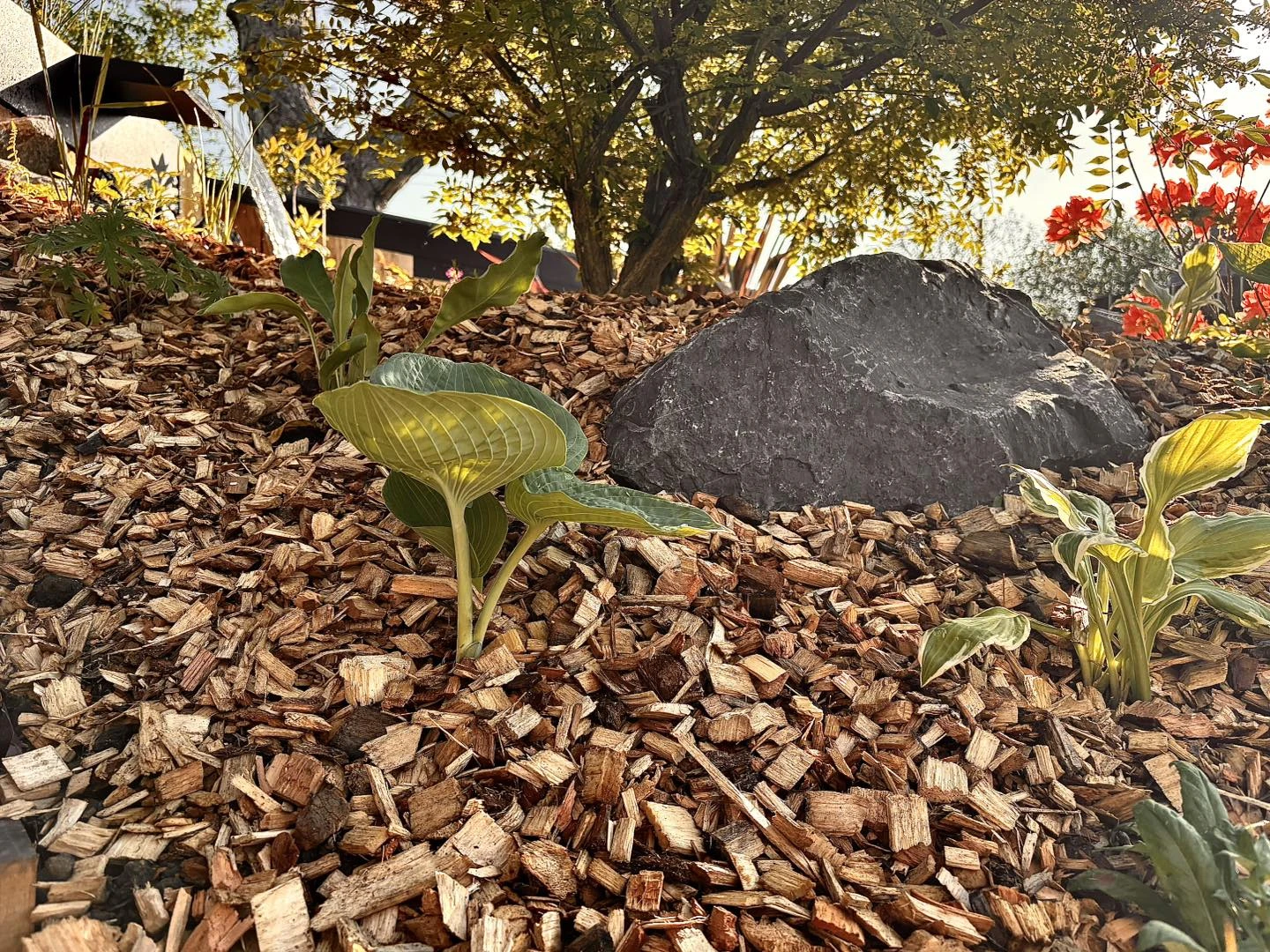 Bassin saint amand les eaux