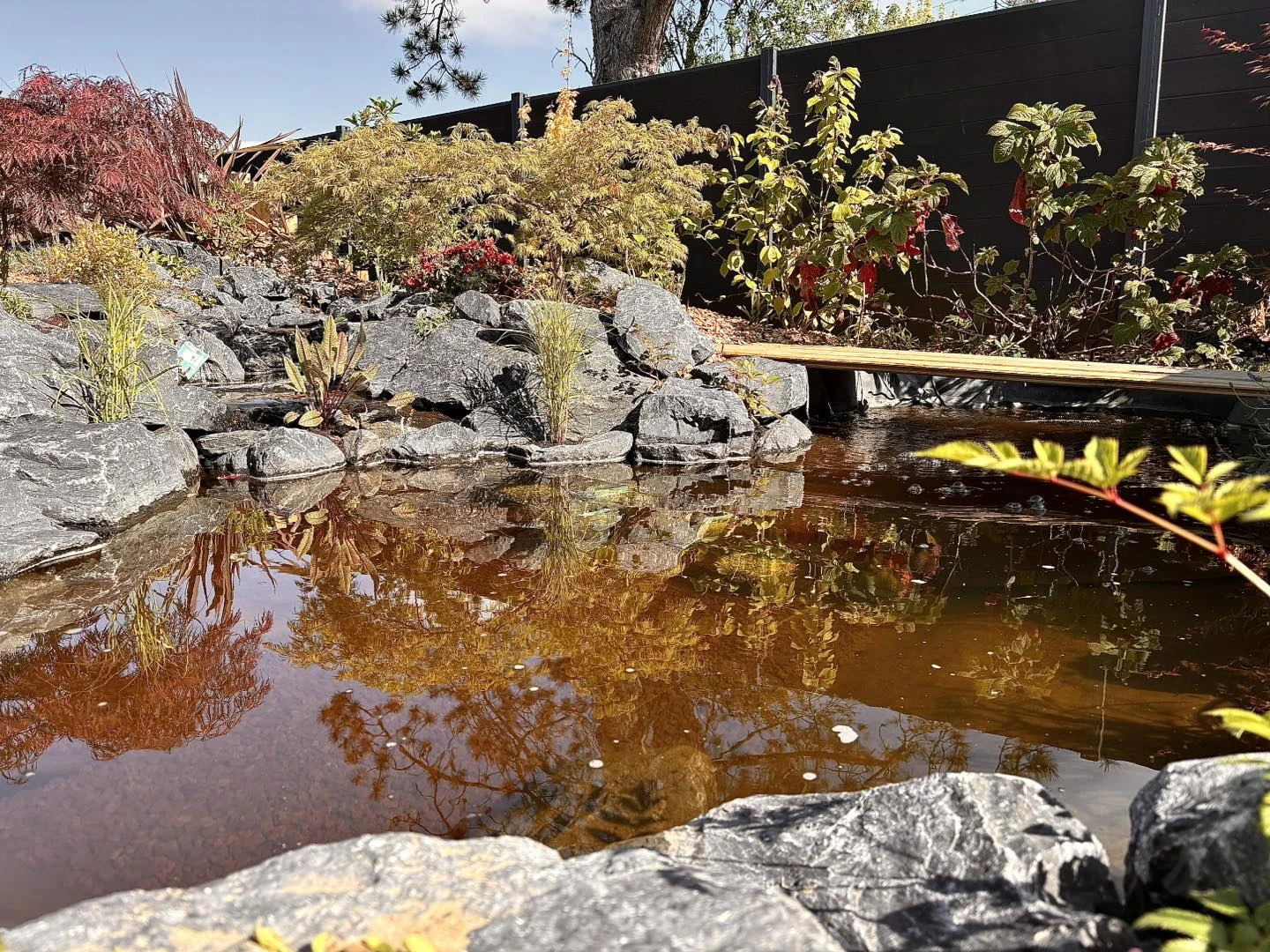 Bassin saint amand les eaux