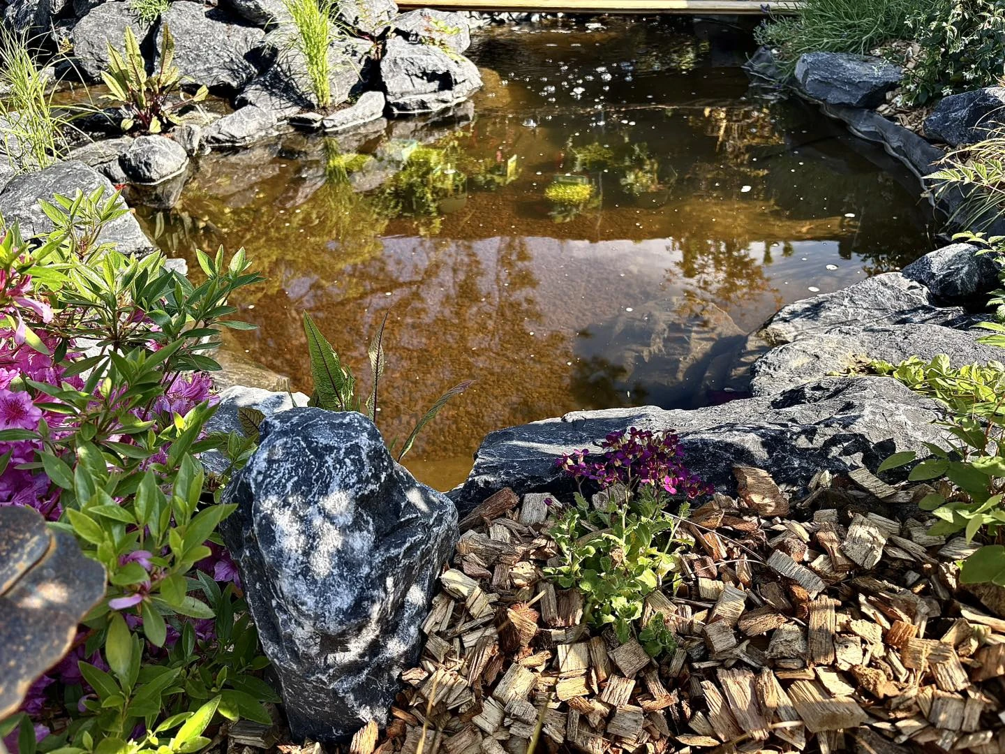 Bassin saint amand les eaux