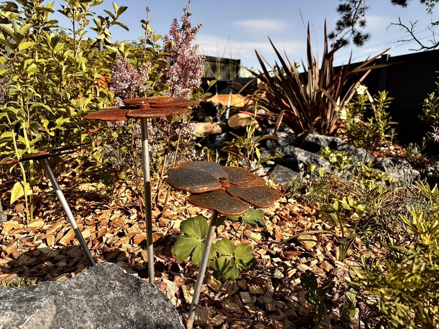 Bassin saint amand les eaux