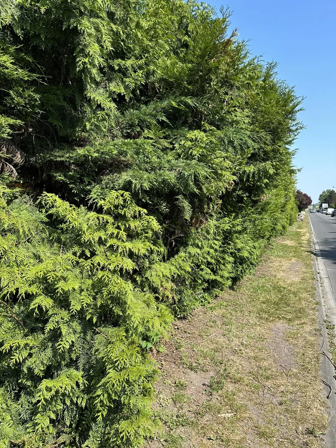 Clôture composite imitation bois Wattignies