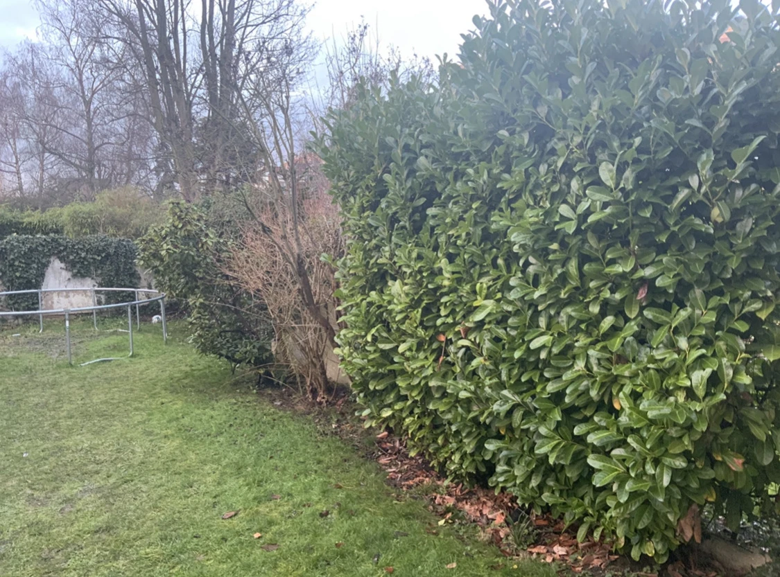 Aménagement de jardin Valenciennes