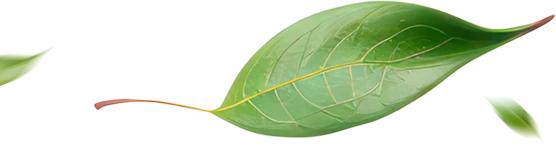 feuille